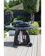 N-Grill 3 Burner Gas BBQ