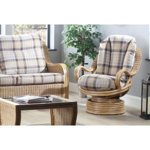 Deluxe Swivel Rocker